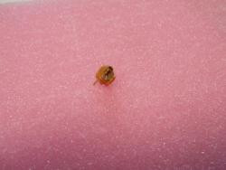 1,4PF-10PF LÉGTRIMMER KOND.8MM