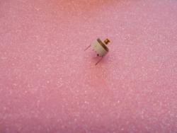 4PF-38PF LÉGTRIMMER KOND.